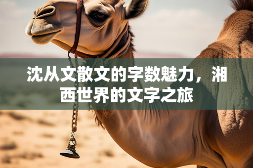 个人原创散文